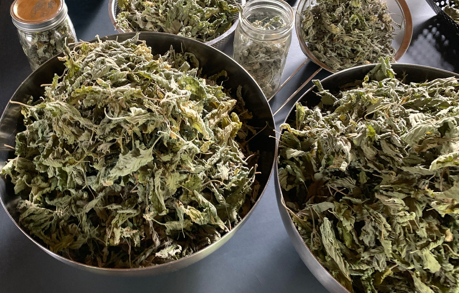 Hand harvested, dried organic catnip in bowls