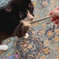 Video of cats playing with Catskill Meowtains Woodstock Weed catnip joints, which are cat toys.