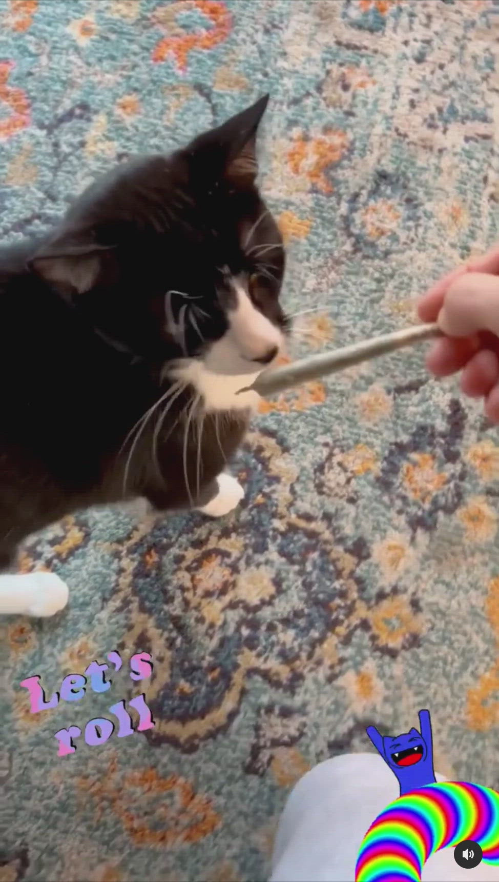 Video of cats playing with Catskill Meowtains Woodstock Weed catnip joints, which are cat toys.