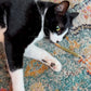 Cat playing with a Catskill Meowtains Woodstock Weed catnip joint, which is a cat toy